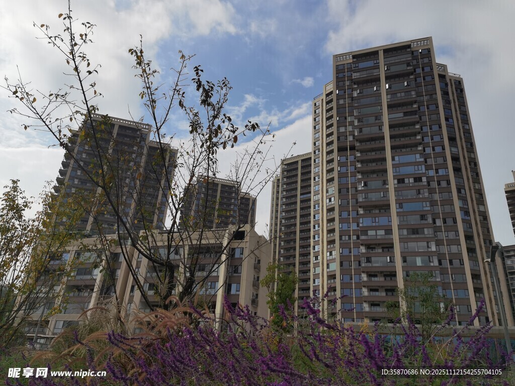 城市繁花簇拥的高楼景观