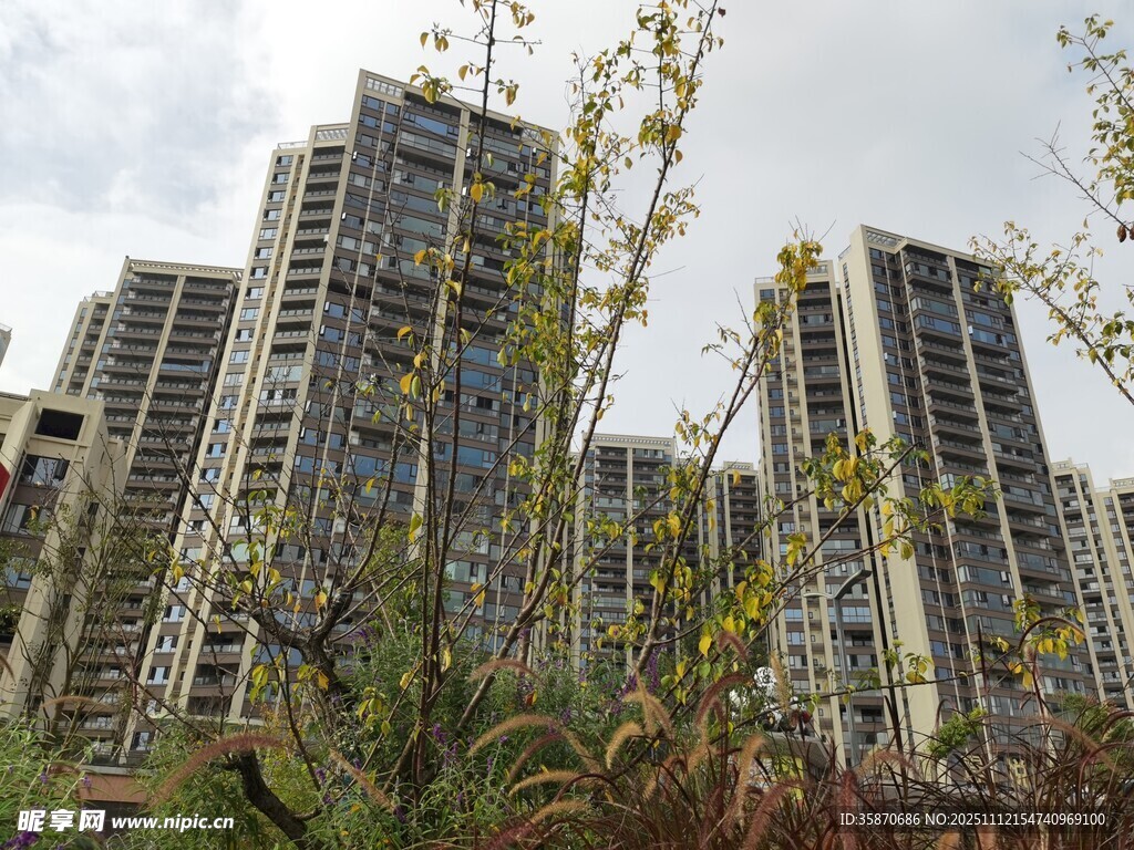 高层住宅与绿植景观