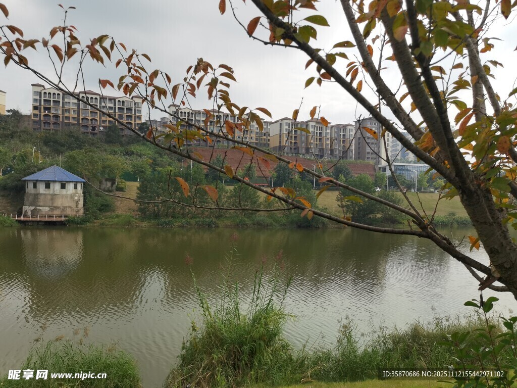 湖畔景致远处建筑与绿植