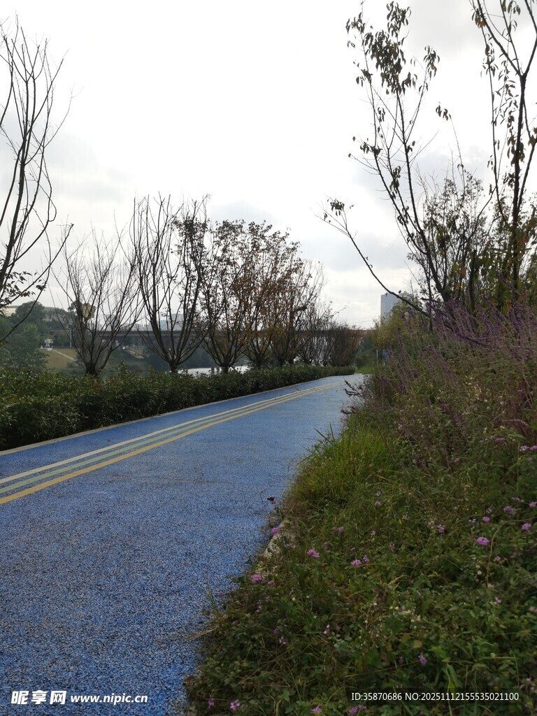 乡村柏油小路风景