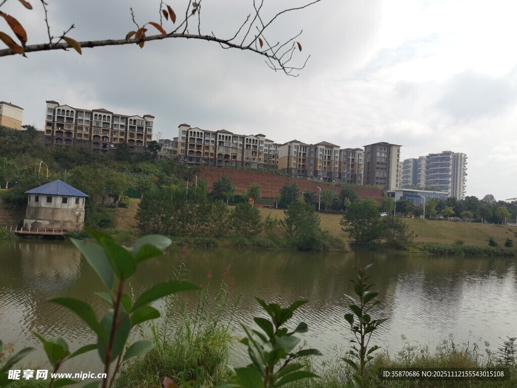 湖畔住宅区风光