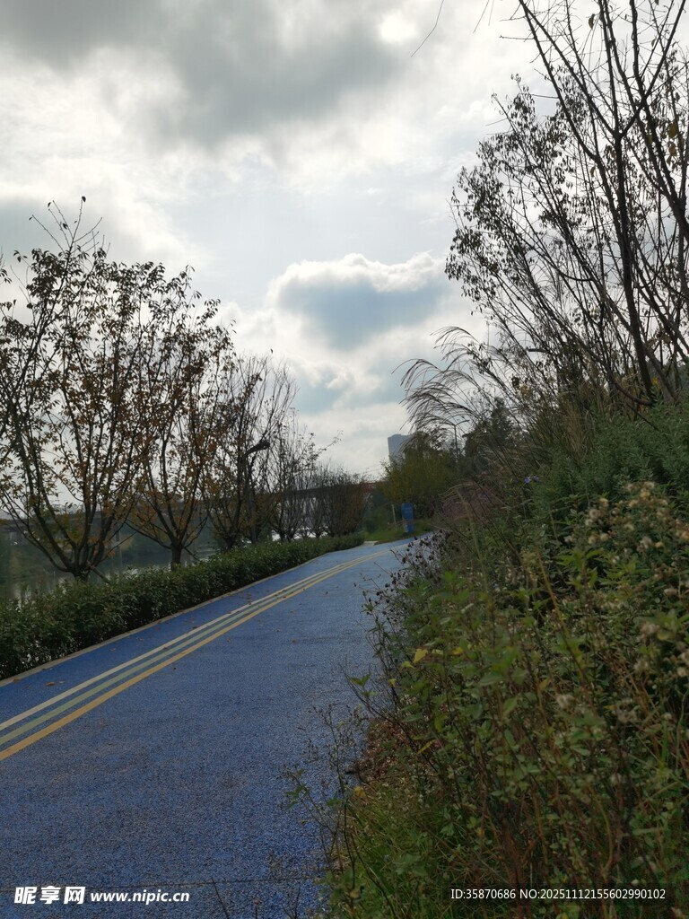 乡村公路旁的自然景致