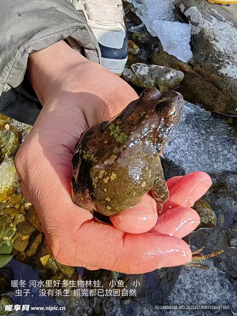 手中握着的奇特海螺