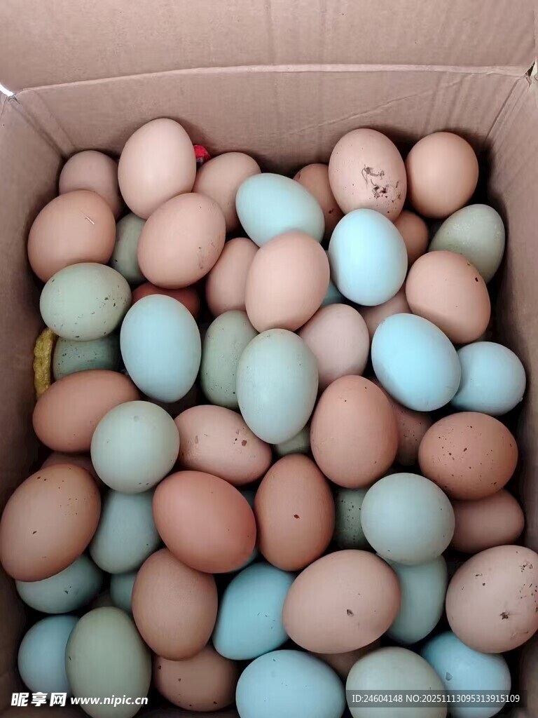 多彩鸡蛋装满纸箱
