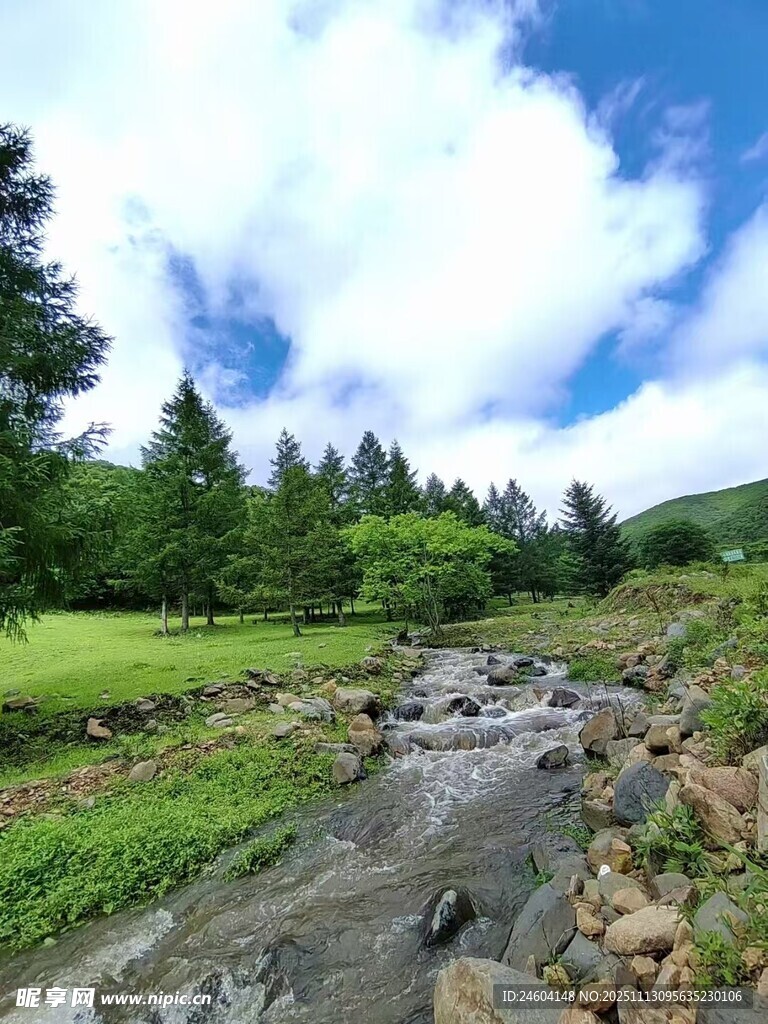 山间溪流绿意盎然的景致