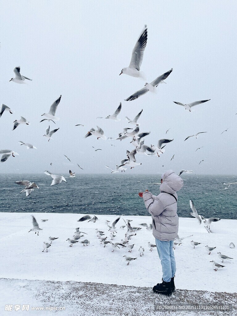 女子雪中喂海鸥