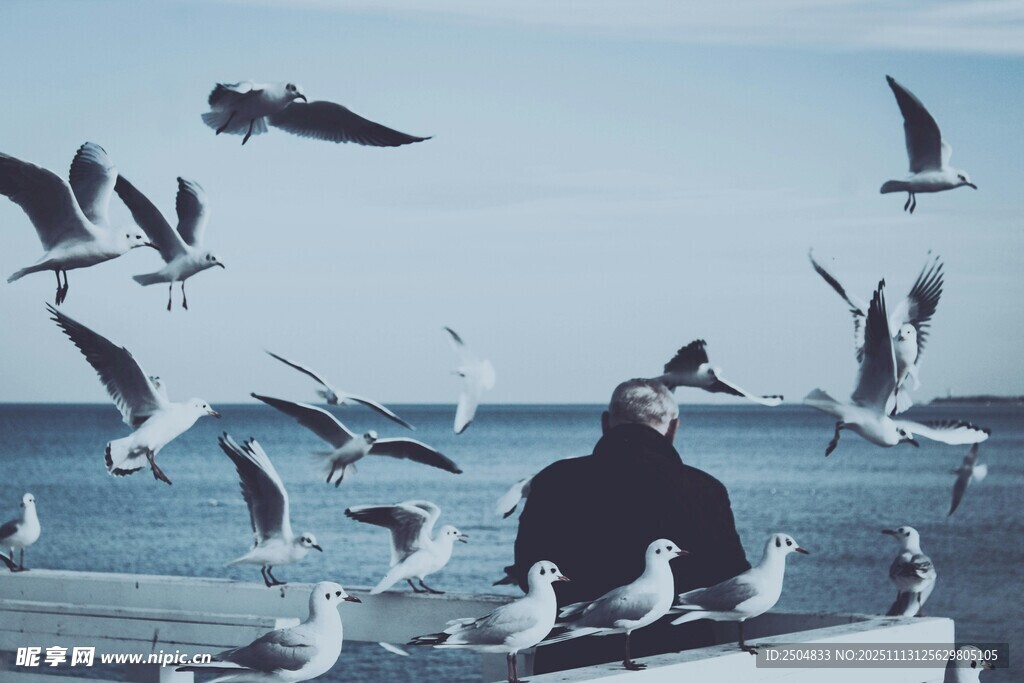 海上人与群鸥的和谐画面