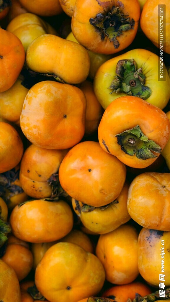 饱满诱人的新鲜柿子堆