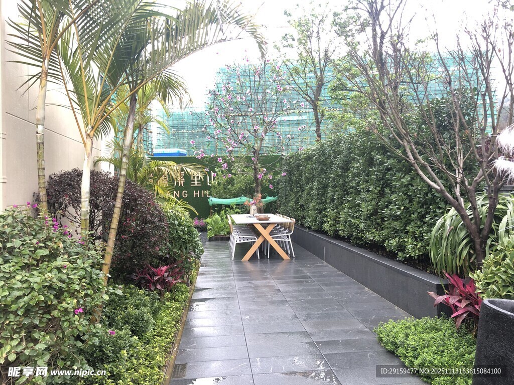 庭院绿植小径休闲场景