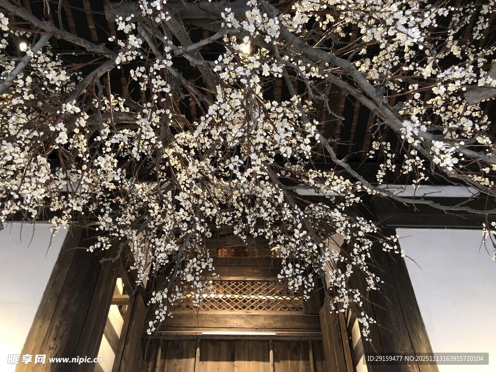 樱花树下的木质建筑景观