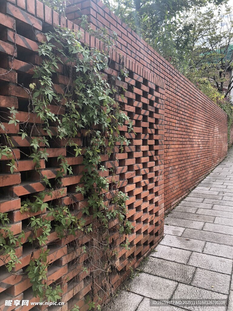 红砖墙上的绿植景观