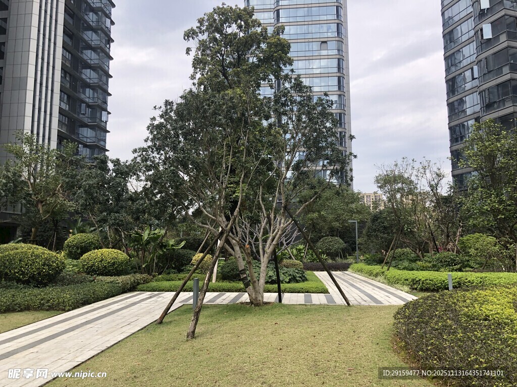 城市中静谧的绿植景观