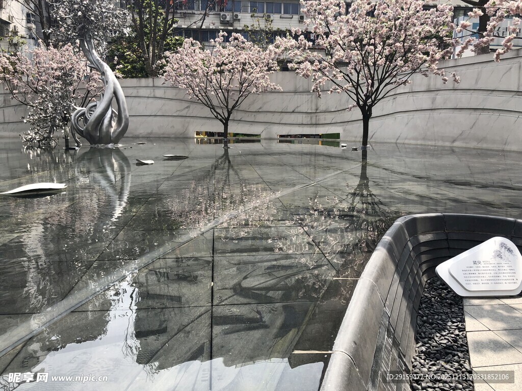 湖畔樱花倒影美景