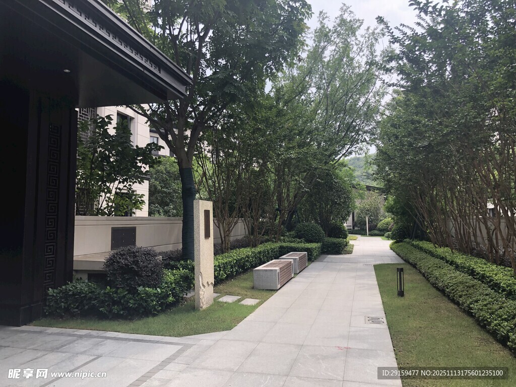 静谧雅致的庭院小径