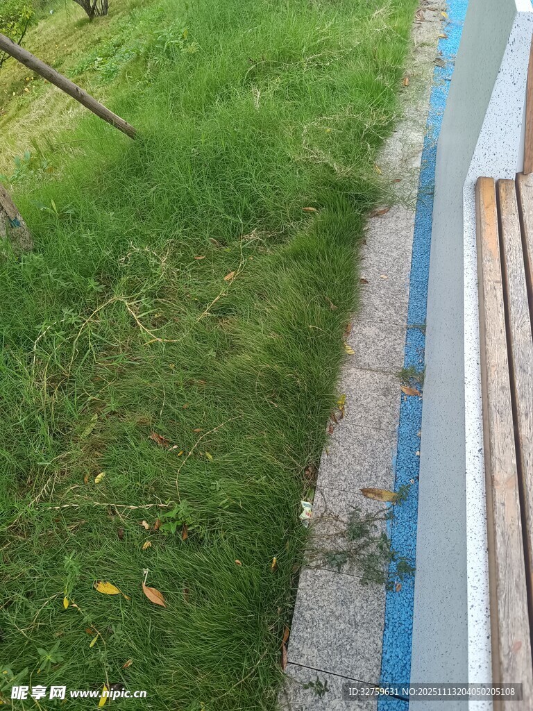 户外草地旁的蓝色步道