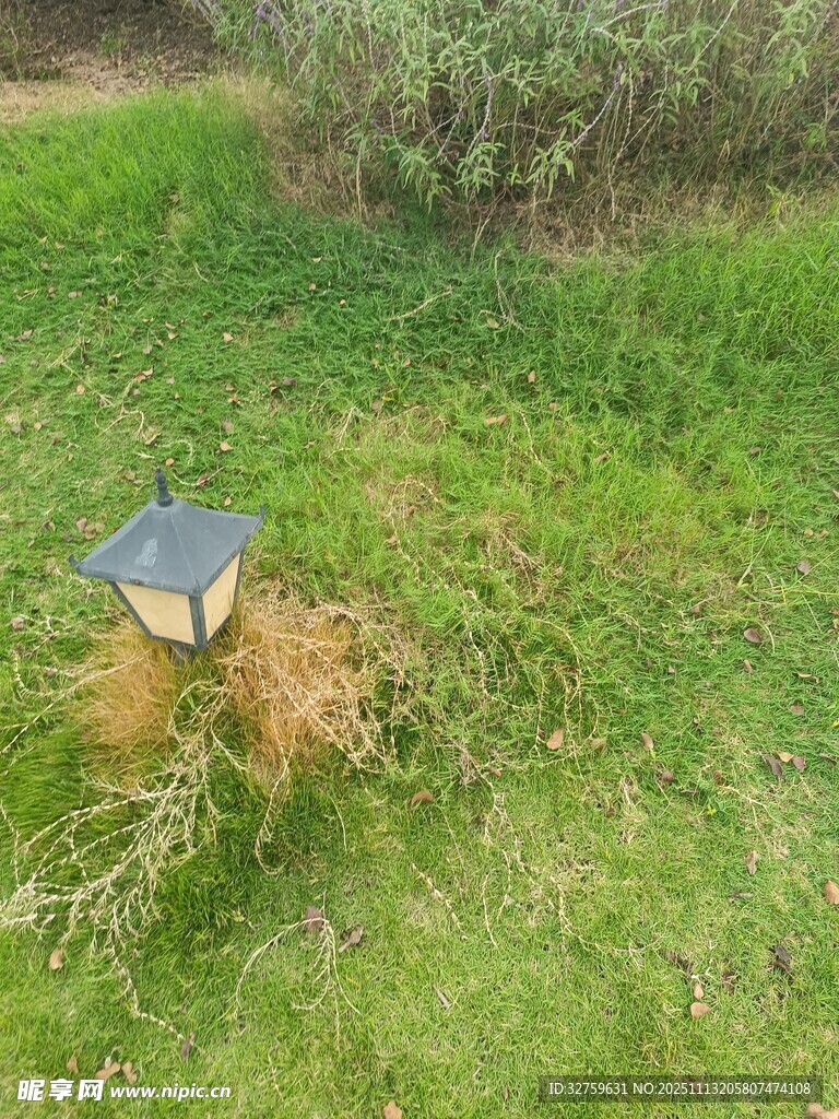 草地上的复古风格小灯