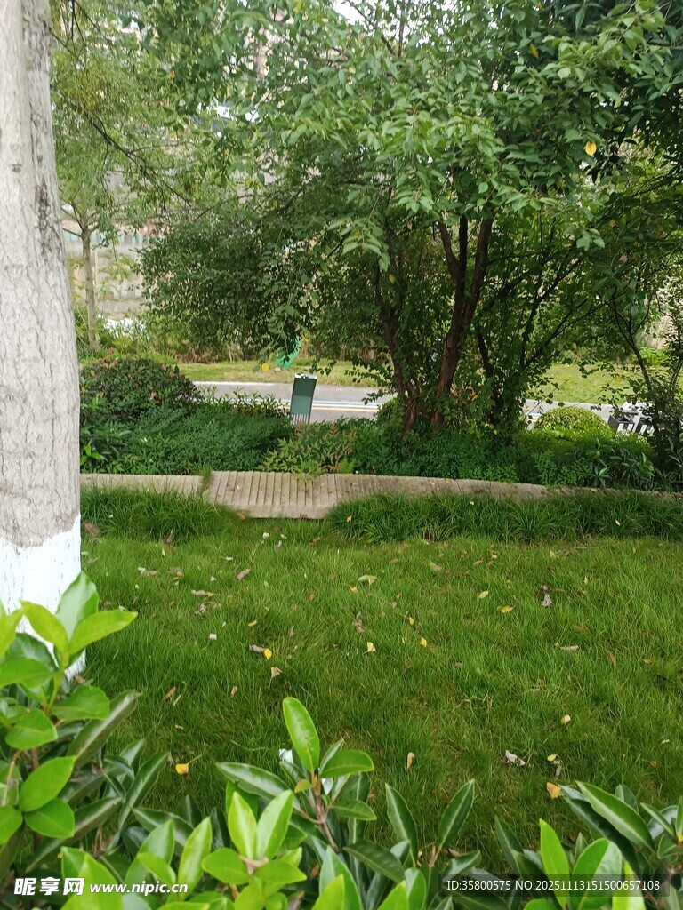 绿意盎然的户外园林景观