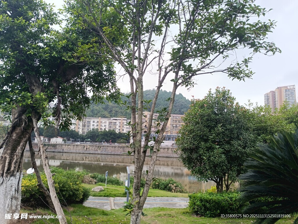 城市中的绿意园林景观