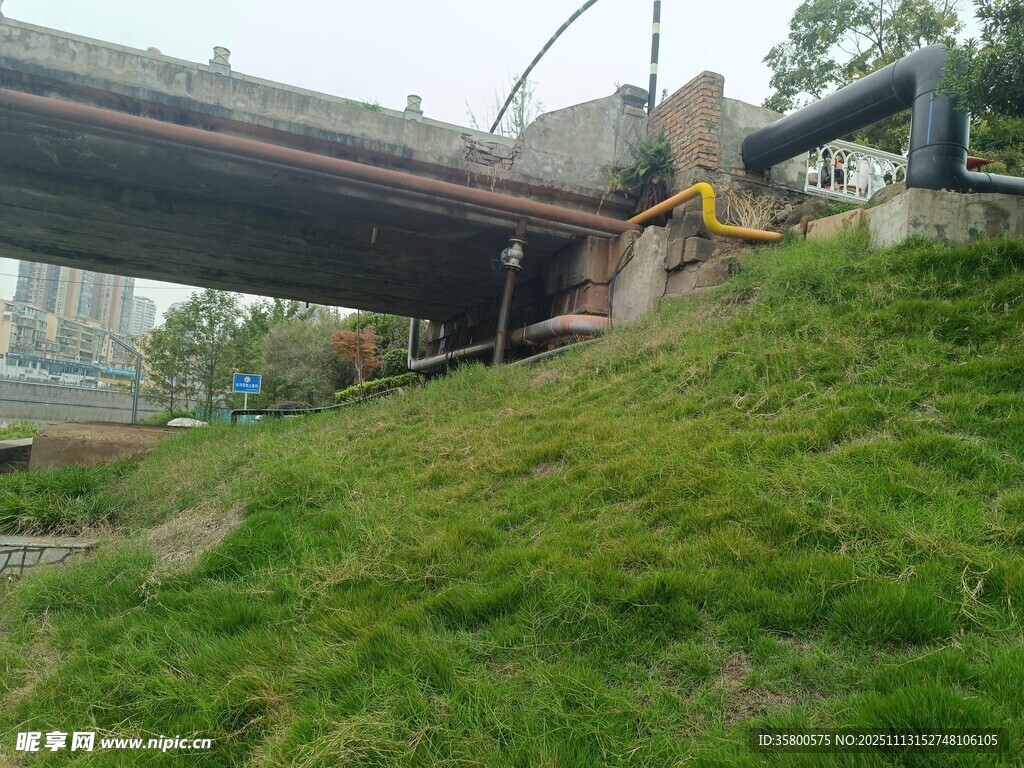 桥梁下的绿意景观