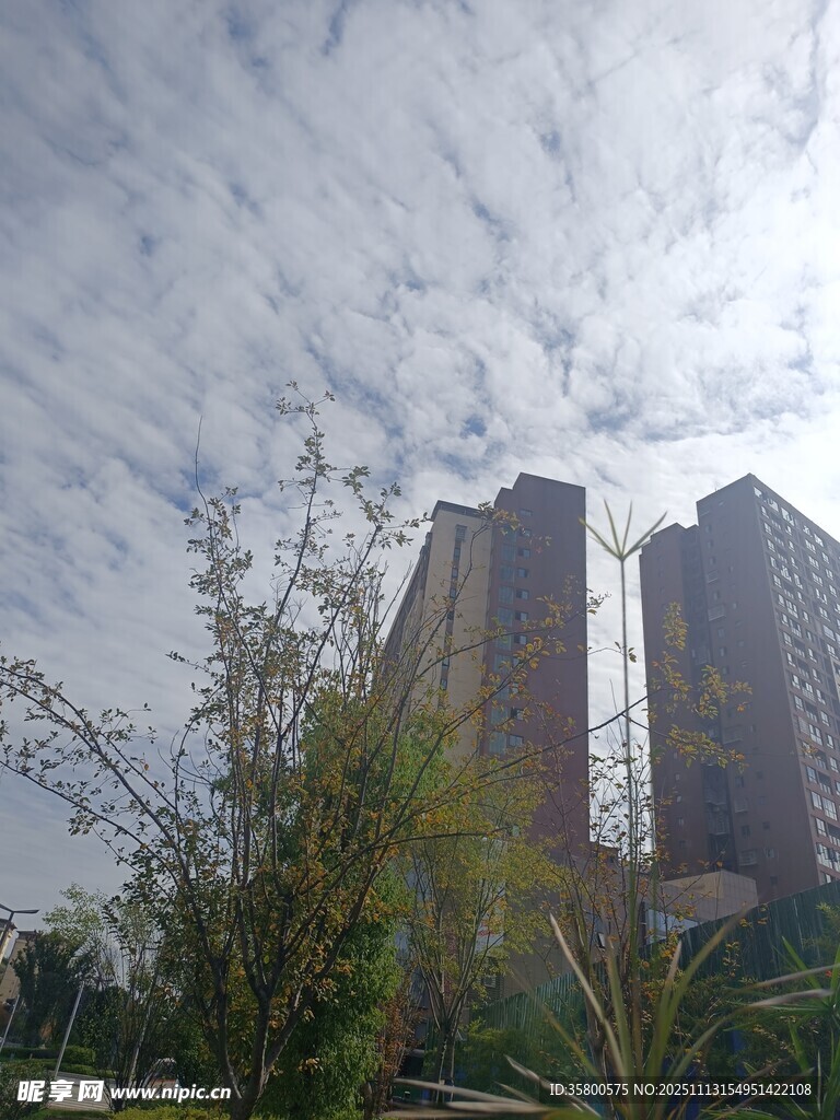 城市高楼与天空绿植景观