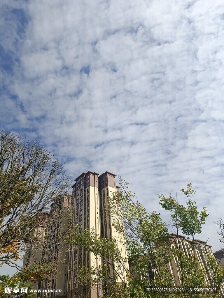 蓝天白云下的建筑与树木