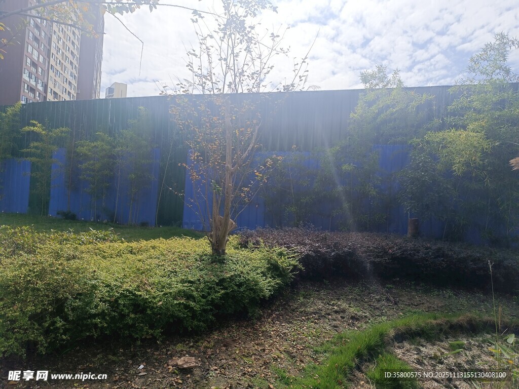 户外自然景观绿植场景