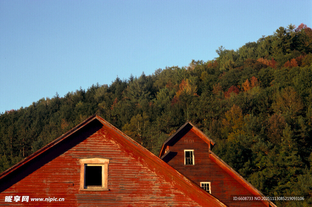 红顶小屋与葱郁山林