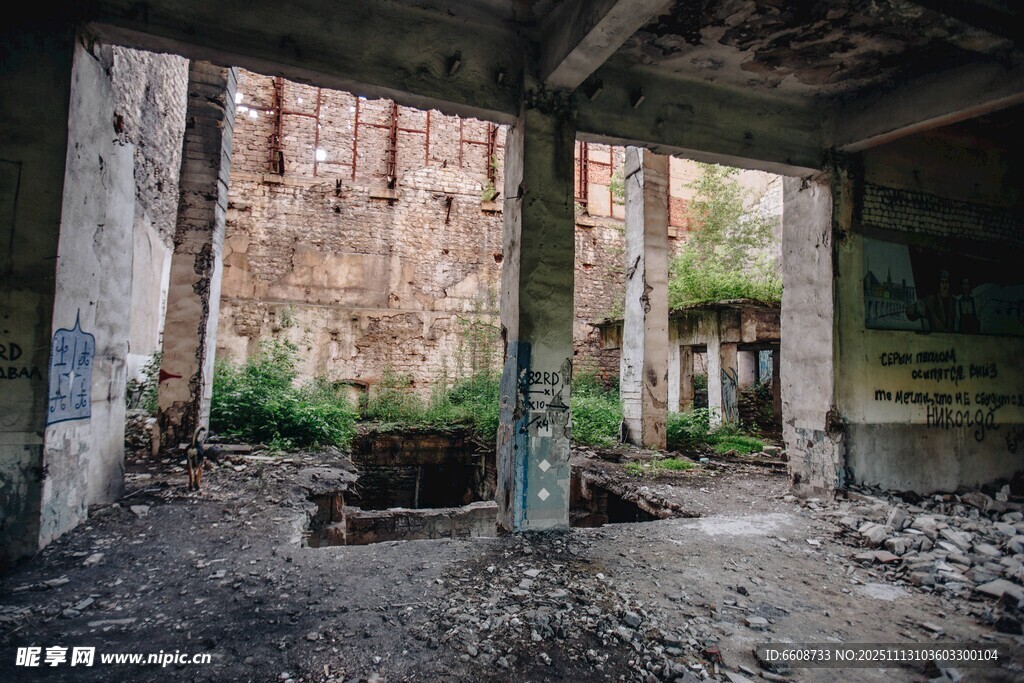 废弃建筑内的荒芜景象