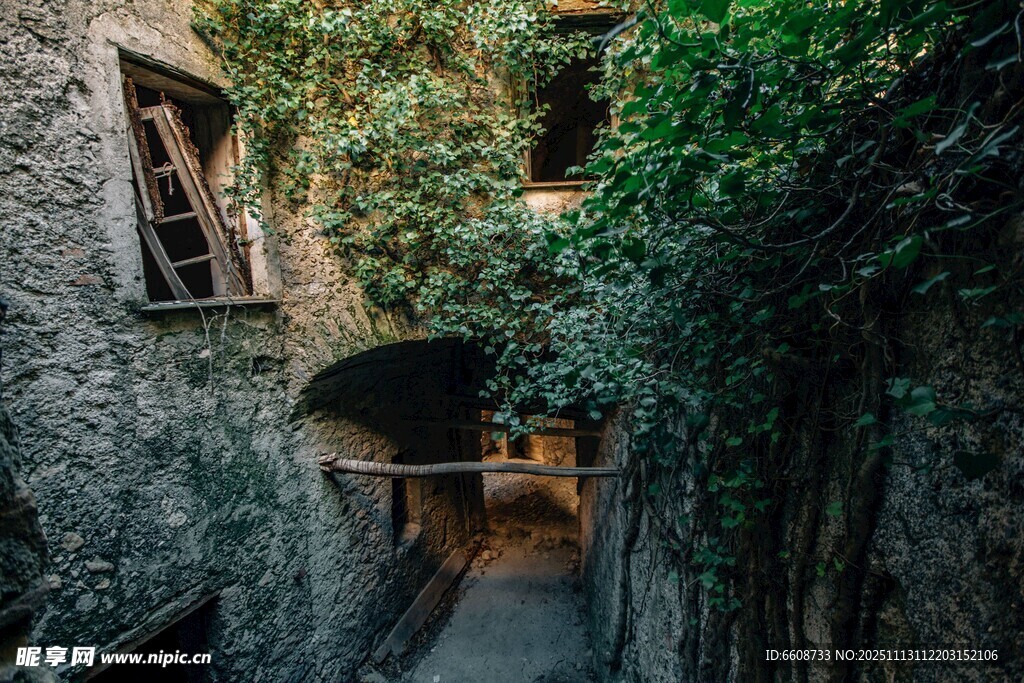 石墙小巷中的静谧绿植景观
