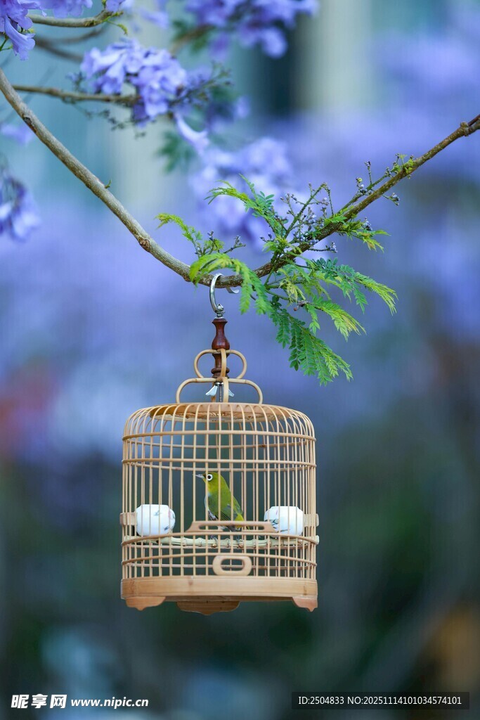 蓝花下的精致鸟笼