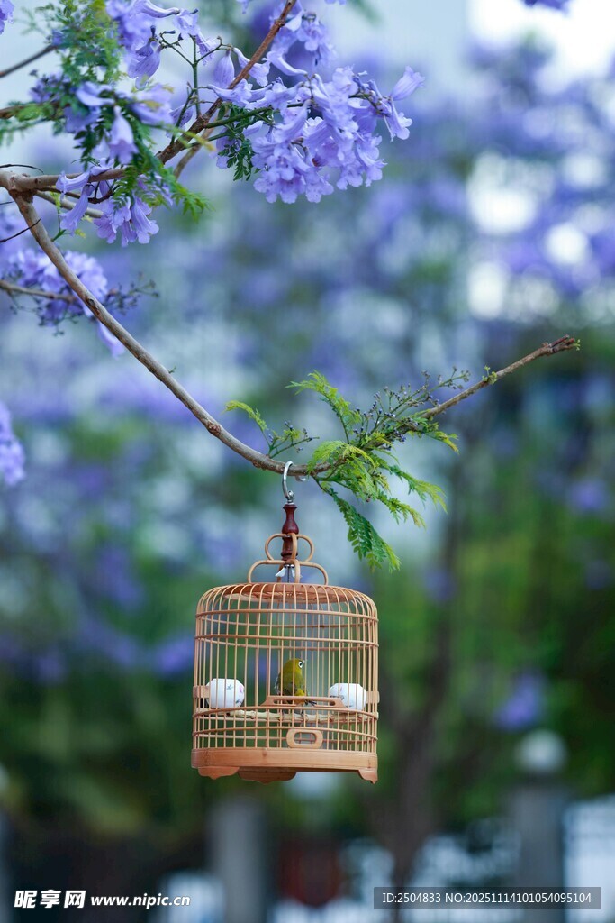紫花下的精致鸟笼