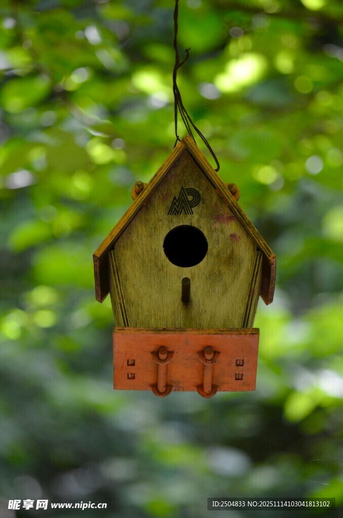 悬挂林间的可爱小鸟屋
