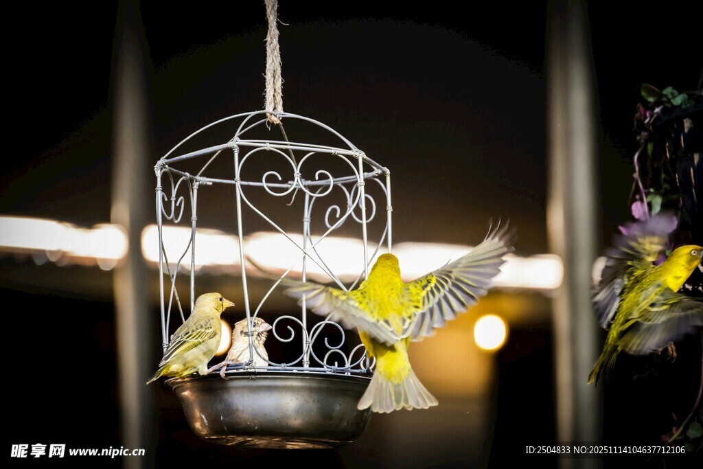 精致鸟笼挂饰 蝴蝶飞舞