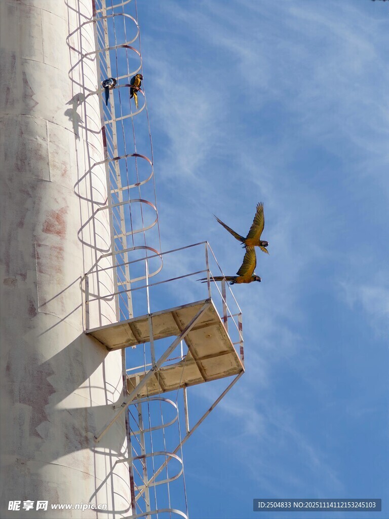 高空作业工人进行外墙施工