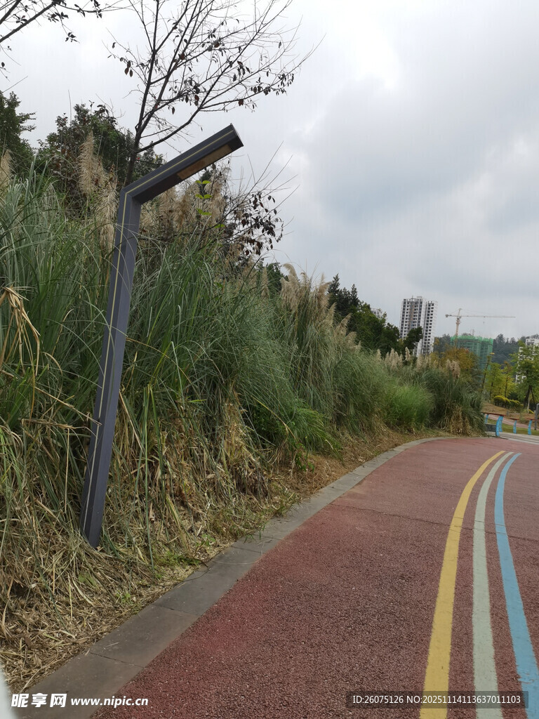 彩色步道旁的自然景致