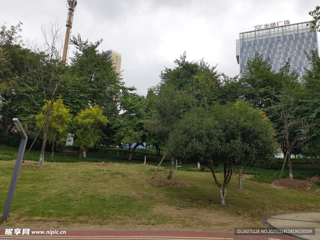 城市中的绿意公园景观