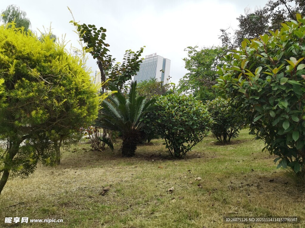 绿意盎然的园林景观