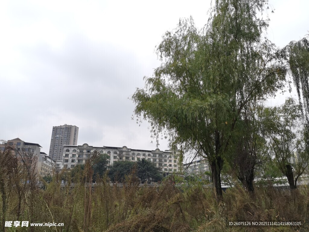 城郊荒野与远处高楼景象