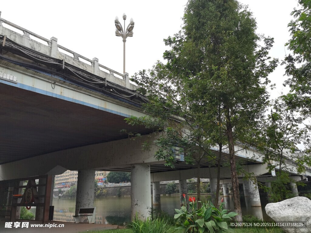 城市高架桥与周边绿植景观