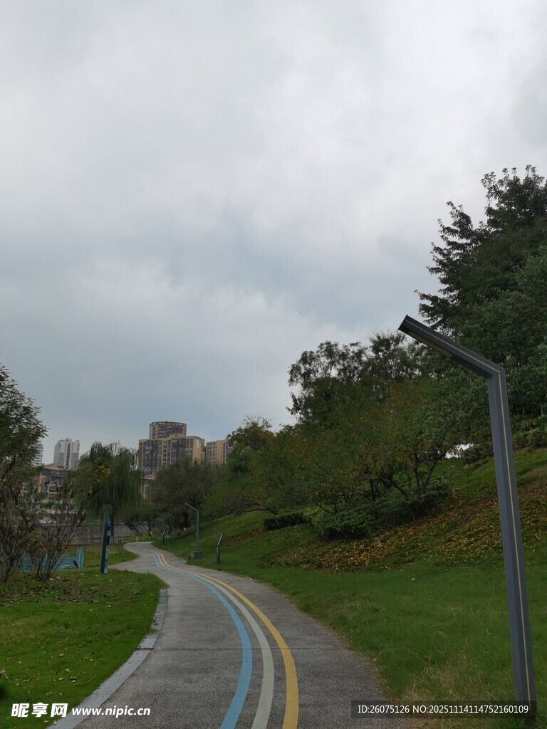 蜿蜒小路穿行于绿树之间