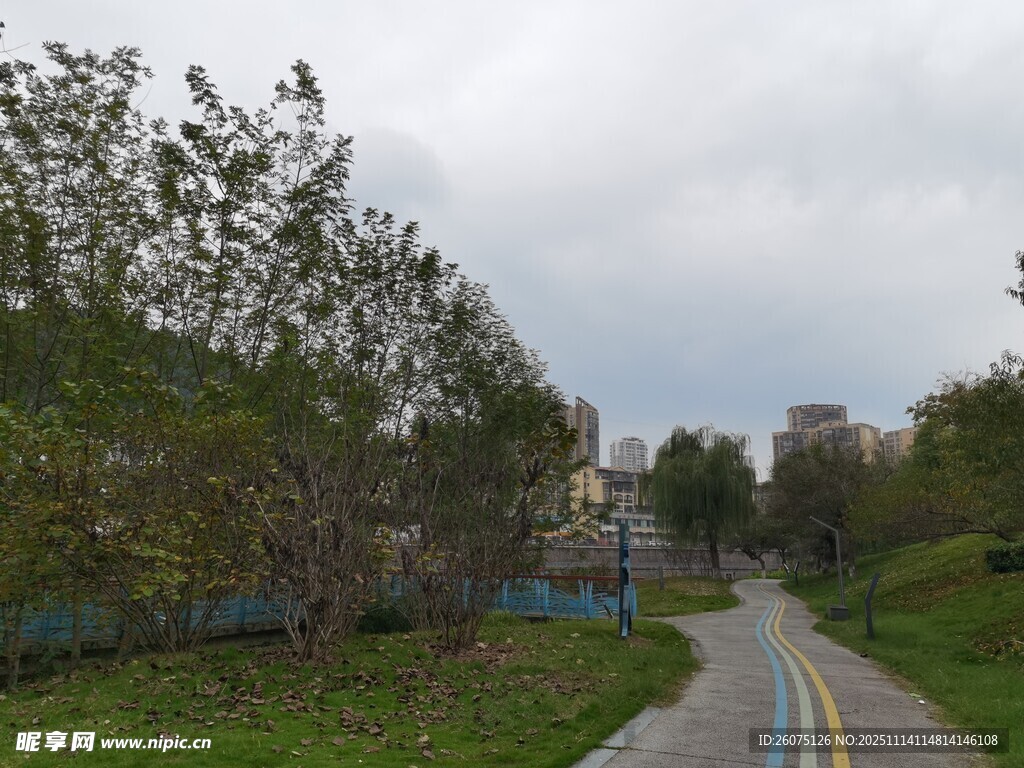 郊外林间小路景色