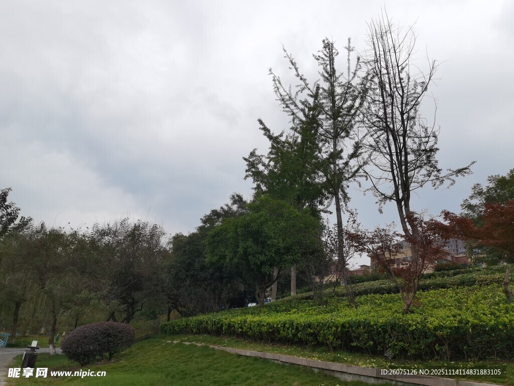 郊外绿意盎然的自然景致