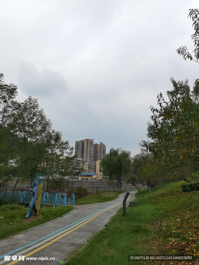 城市中的宁静林荫道路