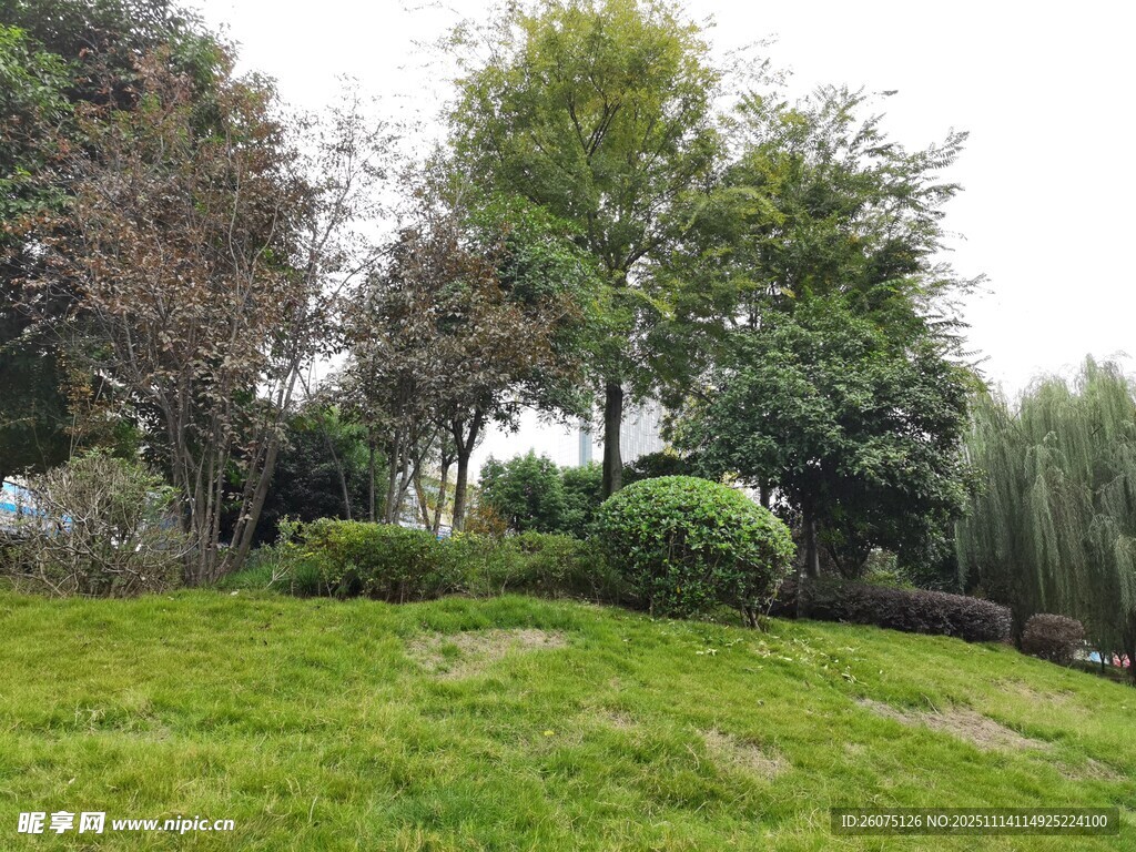 绿意盎然的户外园林景观