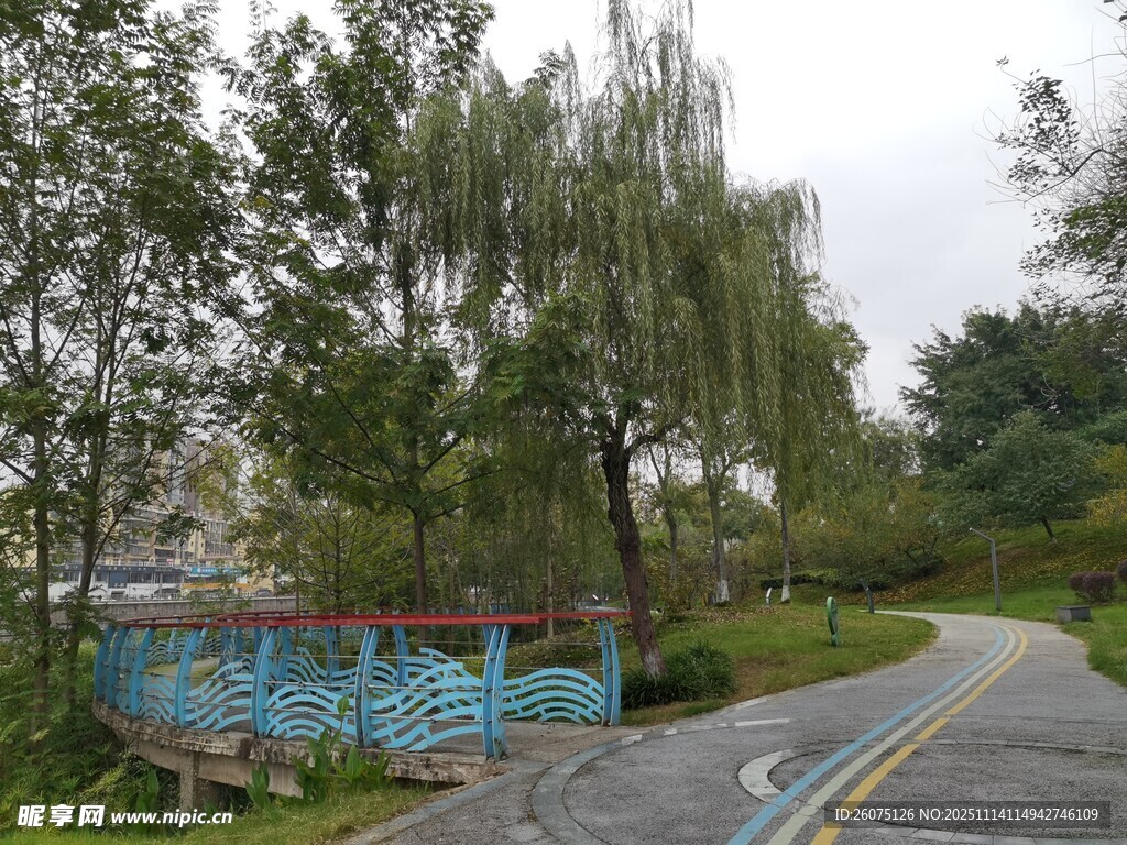 雨中蜿蜒的彩色林间小路