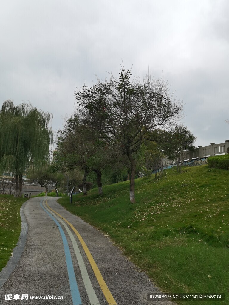 彩色道路旁的绿意景致