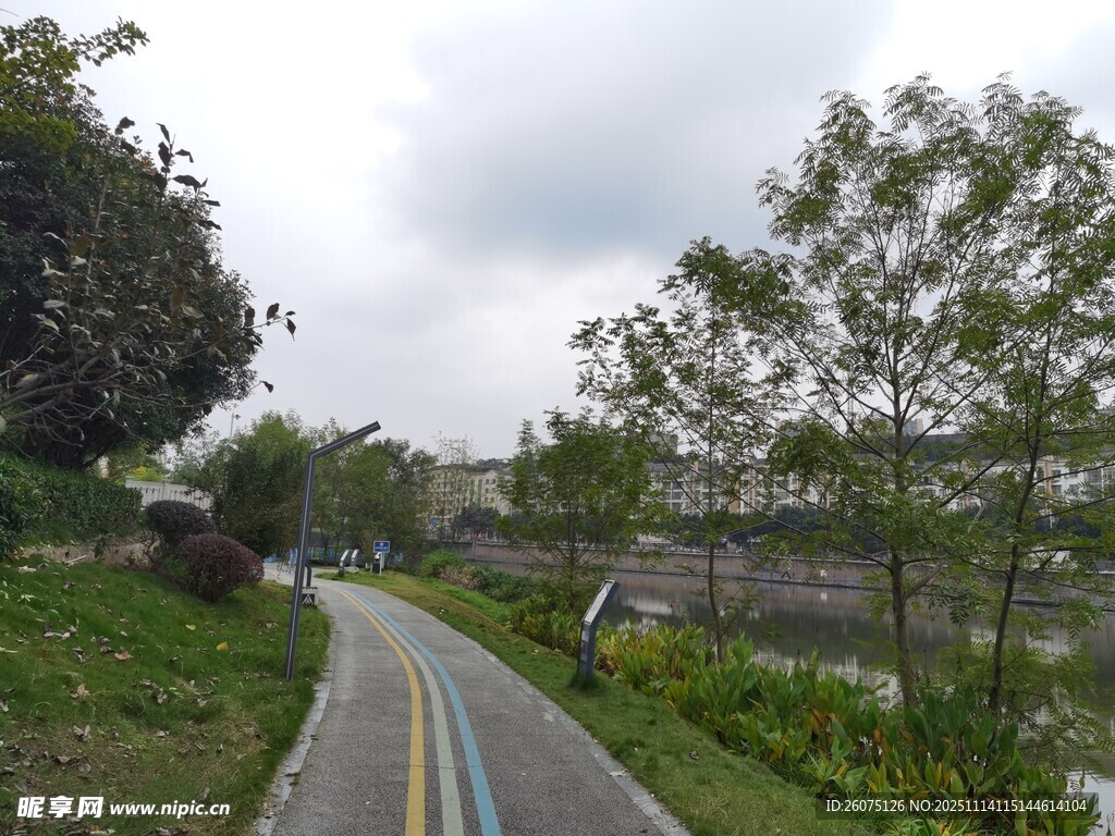 郊外彩色骑行道风景