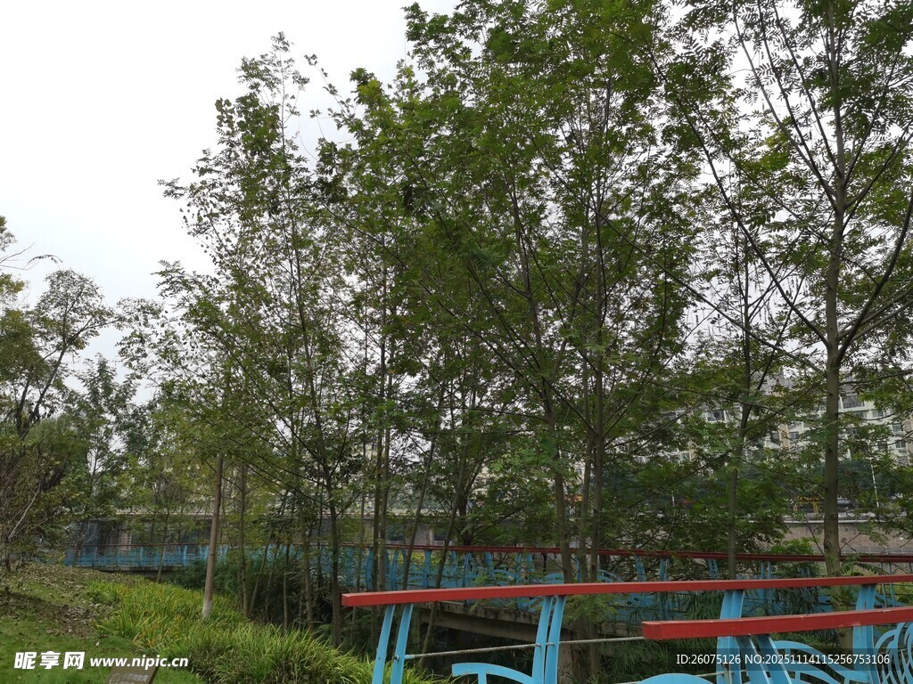 户外绿树旁的多彩设施