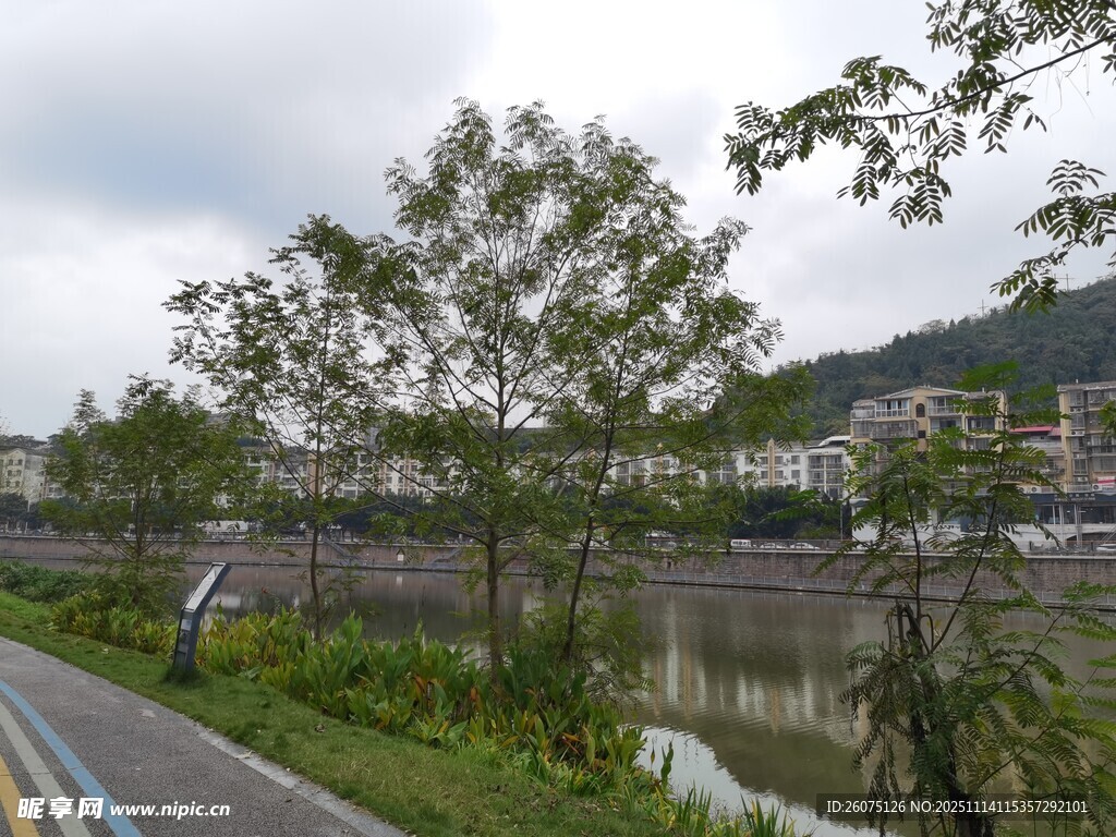 河畔公路旁的自然景致