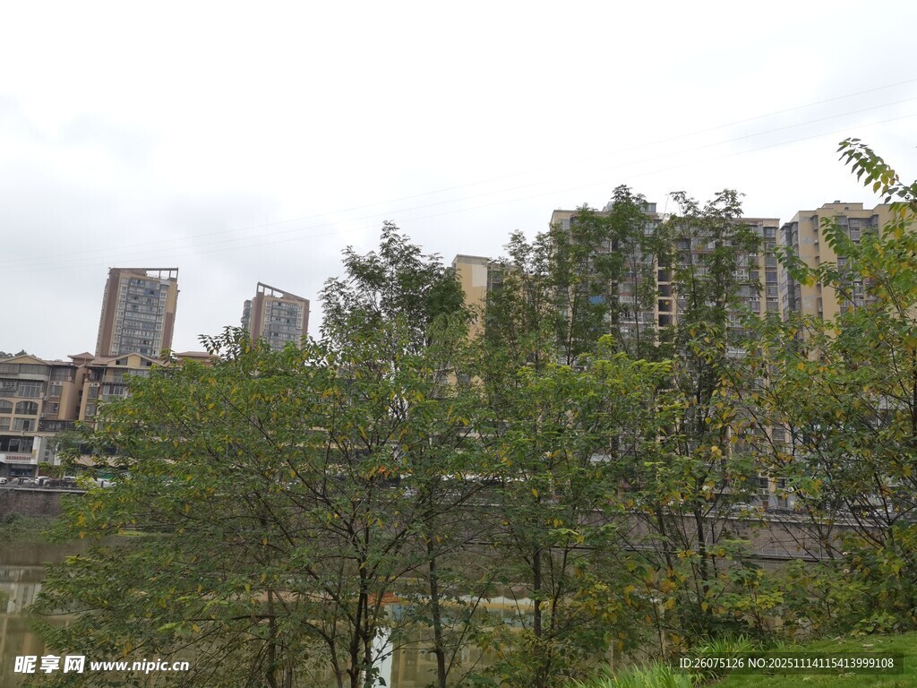 城市边缘的绿植与建筑群